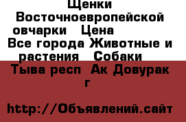 Щенки Восточноевропейской овчарки › Цена ­ 25 000 - Все города Животные и растения » Собаки   . Тыва респ.,Ак-Довурак г.